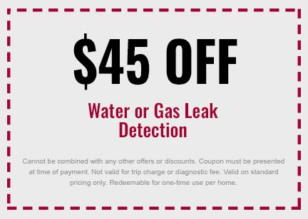 Discount on Water or Gas Leak Detection